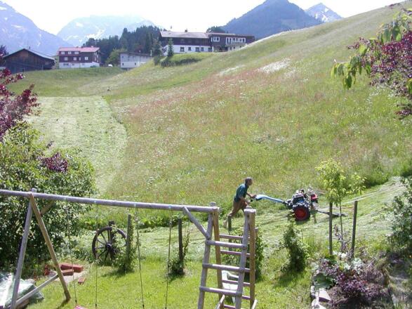 Blick Terrasse Sommer