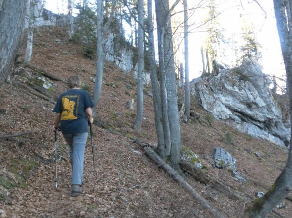 Kammfelsen
