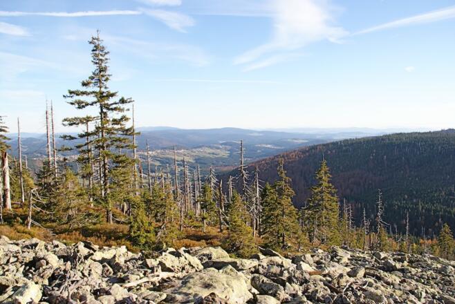 Ausblick vom Steinfeckberg ins Reschbachtal mit Finsterau