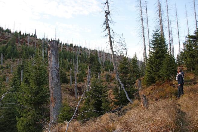 Talsteig vom Kirchlinger Stand zum Finsterauer Lusensteig