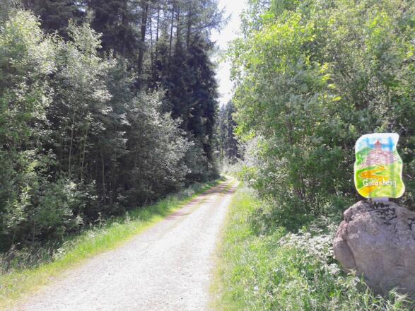 Beginn des Anfangsforstweges