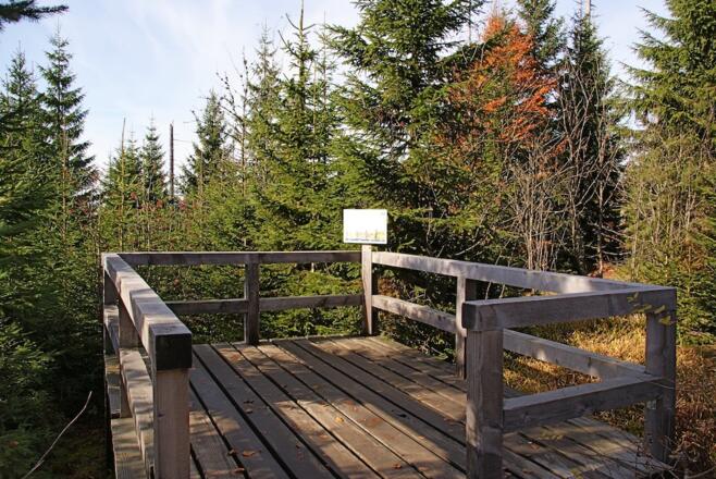 Aussichtkanzel mit Info zur Waldentwicklung