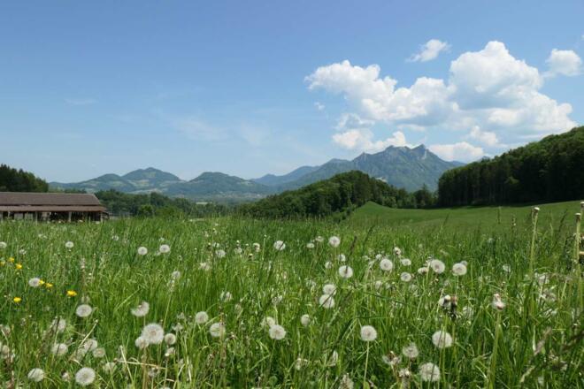 Aussicht von Altenburg
