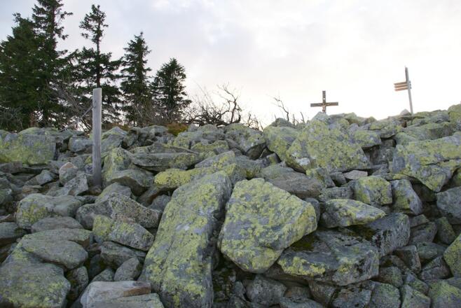 Kurz unterm Lusengipfel