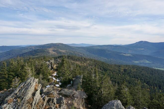 Blick über den Grenzsteig zum Zwercheck