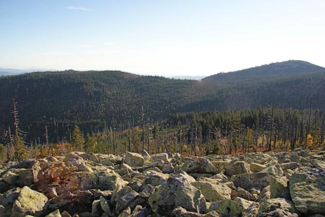 Felswandgebiet und Lusen vom Steinfleckberg