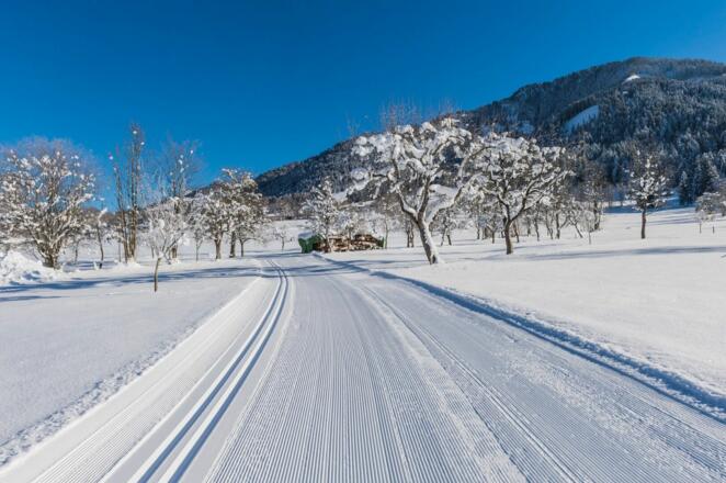 Söll_Schattseit_Winter_Wilder Kaiser