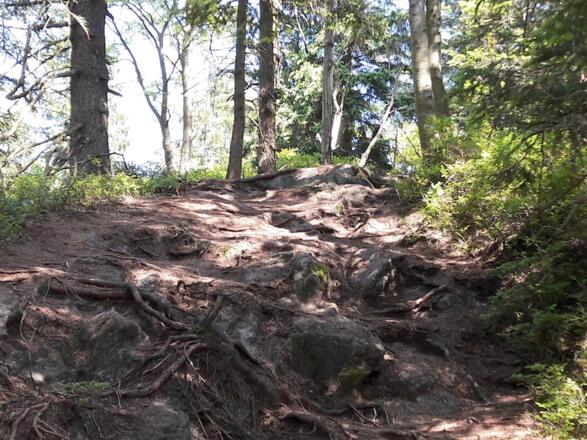 Steiler Anstieg zum Kleinen Riedelstein