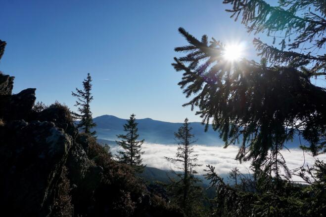 Großer und Kleiner Arber vom Osser-Grenzkamm