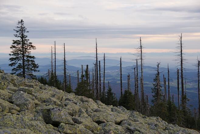 Lusen mit Alpenblick