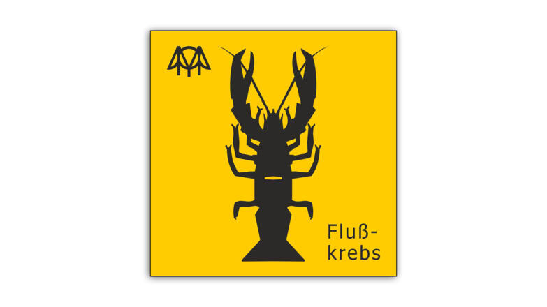 Flusskrebs.jpg