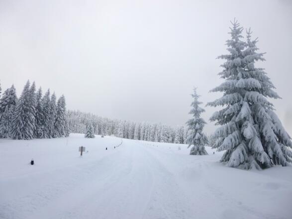 Buchhüttenschachten bergauf