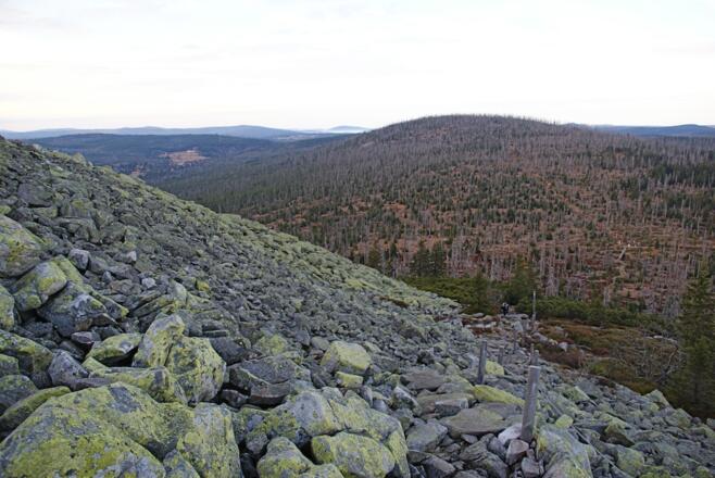 Blick vom Lusen nach Pürstling