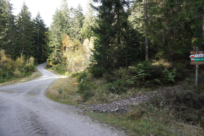 Bei diesem Schilderbaum Lo2 verlassen und den Forstweg gerade bergauf nehmen.