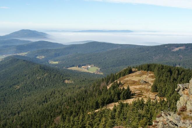 Blick zur Osserwiese, Lambach und Hoher Bogen
