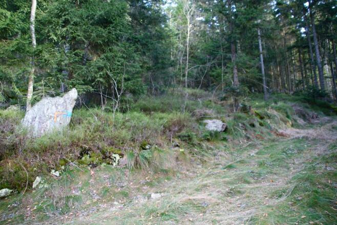 Weg nach Verlassen des Wanderweges Lo1