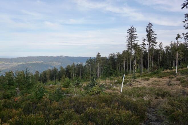 Blick nach Osten zum Liebesberg und Ryzmberg (CZ)