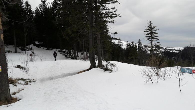 Gipfelweg neben der Ski-Abfahrt