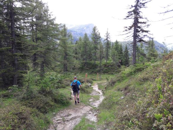 Stein vom Parkplatz zu den Durchkaseralmen