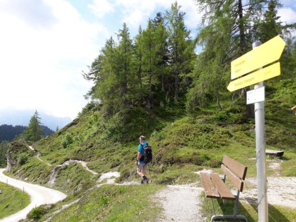Lehrpfad-Einmündung in den Wirtschaftsweg zu den Durchkaseralmen