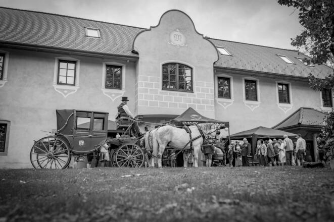 Lumis Kutschenfahrten