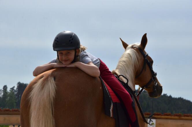Reitpädagogik mit Kind