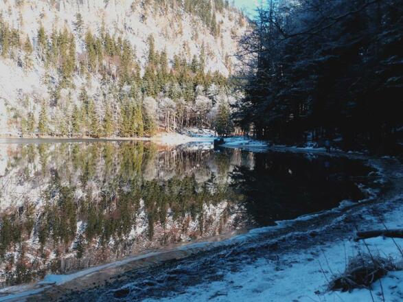 langbathsee-im-winter
