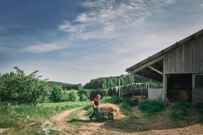 Biohof Rudlstorfer - Baiernaz