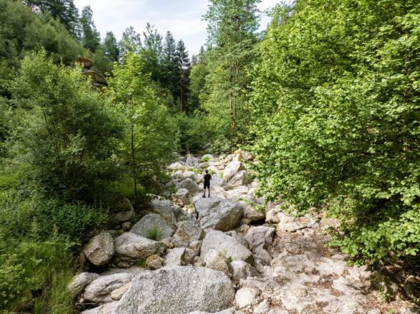 KoenigswiesenKlammleitenschlucht04_MuehlviertlerAlmFreistadtKurtHoerbst.jpg