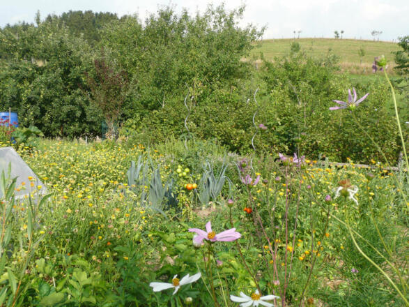 Hausgarten am Ökohof