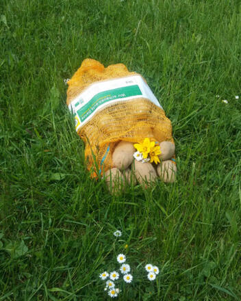 Biohof Dörflinger - Kartoffeln
