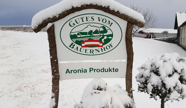 Pregarten_Nordland Aronia (8)