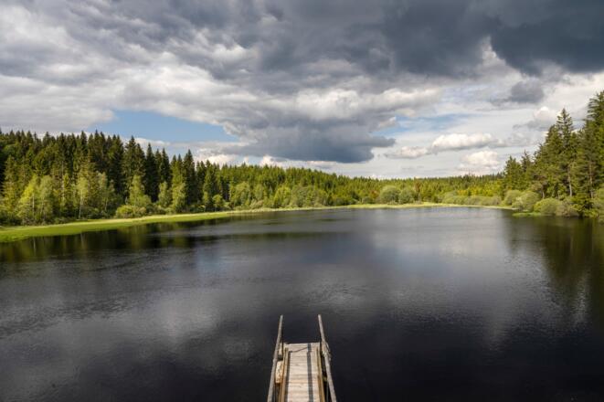 Rubner Teich beim Tannermoor