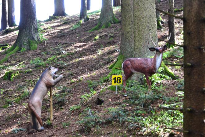 Bogensportgelände Ziele im Wald