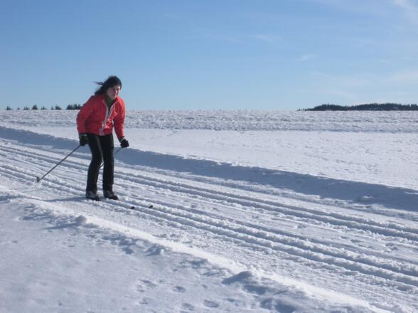 Langlaufeldorado Aktivwelt Freiwald