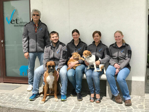 Platzhalter-Team