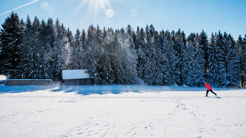 Langlaufen Winter Mühlviertler Alm