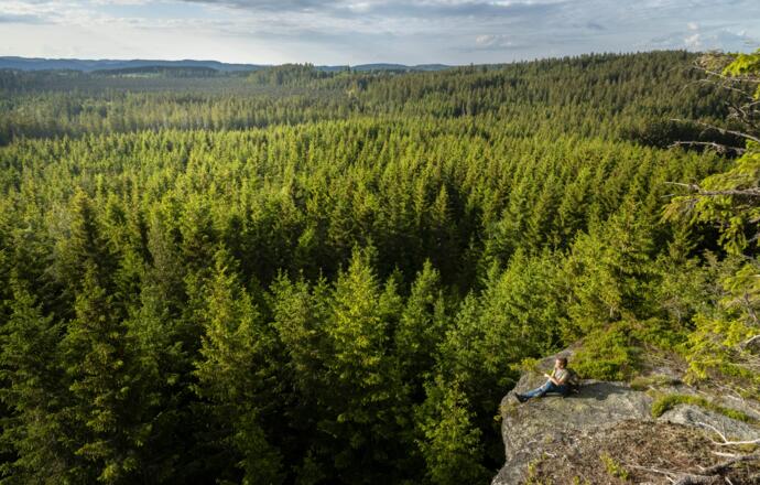 Blick übers Tannermoor