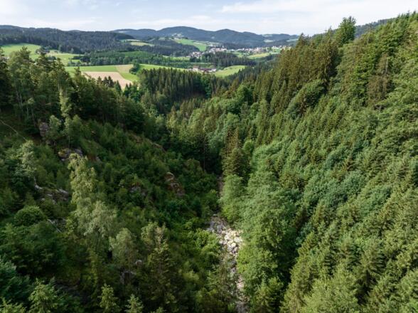 KoenigswiesenKlammleitenschlucht05_MuehlviertlerAlmFreistadtKurtHoerbst.jpg