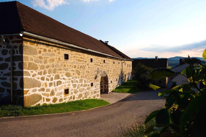 Biohof Krammer-Pinter 2020 (c) Pinter