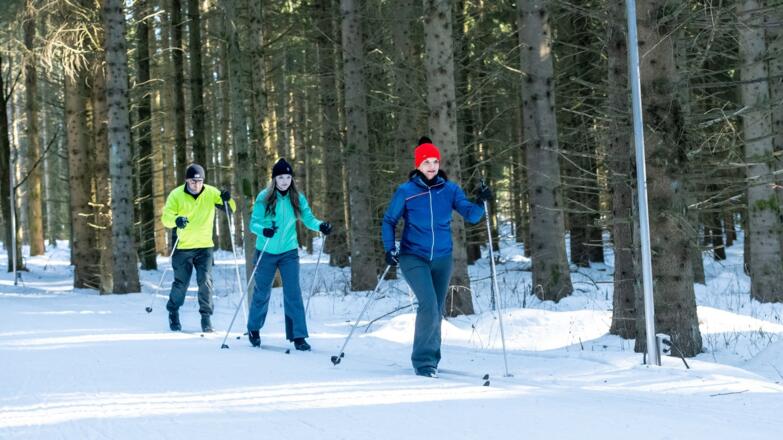 WinterLanglaufenLiebenau01_TVBMuehlviertlerAlmFreistadtLudwigPullirsch.jpg