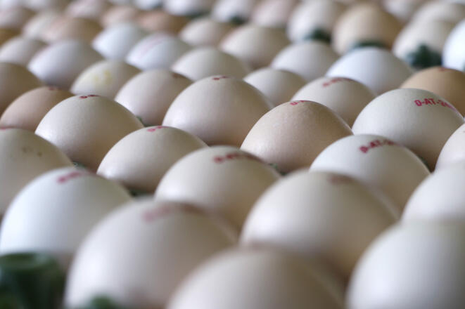 Rainbach_BiohofPilgerstorfer (c) Carina Pilgersdorfer_1