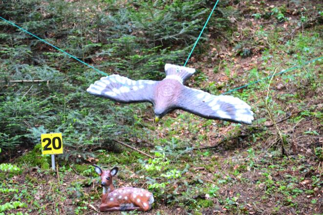 Bogensportgelände Ziele im Wald