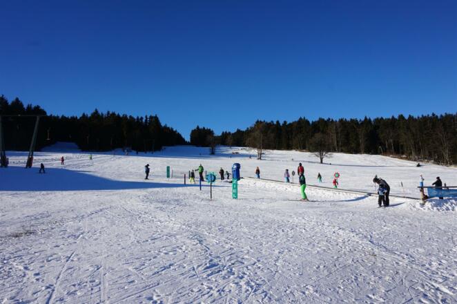 Skifahren und Rodeln am Viehberg