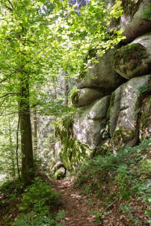 KoenigswiesenKlammleitenschlucht02_MuehlviertlerAlmFreistadtKurtHoerbst.jpg