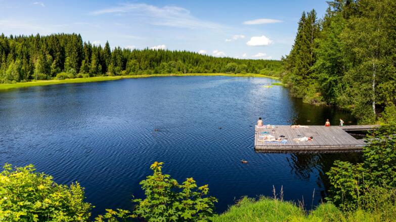 Rubener Teich beim Tannermoor