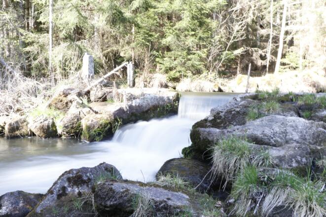 Die Maltsch unterhalb des Rauschender Felsen