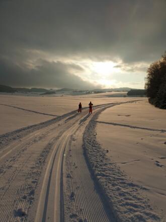 Langlaufen in Windhaag bei Freistadt