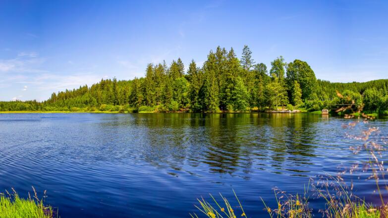 Rubener Teich beim Tannermoor in Liebenau