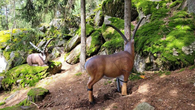 Bogensport Hiaslbauer